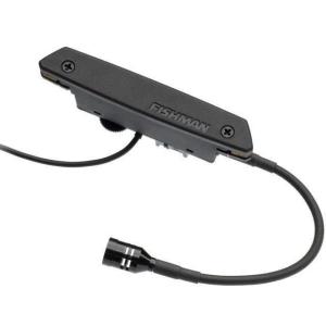 送料無料) Fishman フィッシュマン Rare Earth Mic Blend Soundhole
