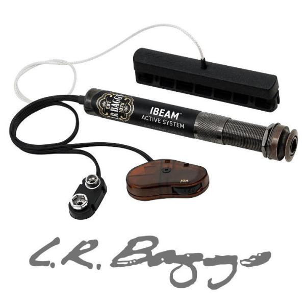[※お取り寄せ商品] L.R.Baggs iBEAM Active エルアールバッグス アイビーム ...