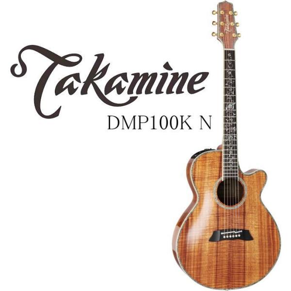 Takamine DMP100K N タカミネ エレアコ・ギター セミハードケース付属