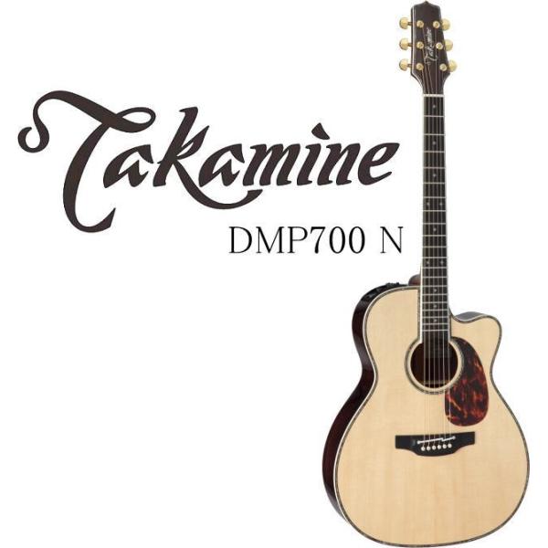 Takamine DMP700 N タカミネ エレアコ・ギター セミハードケース付属