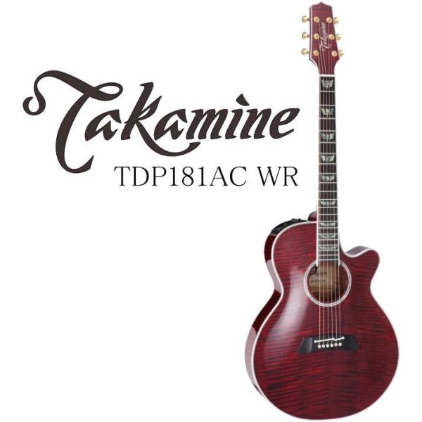 Takamine TDP181AC WR タカミネ エレアコ・ギター セミハードケース付属