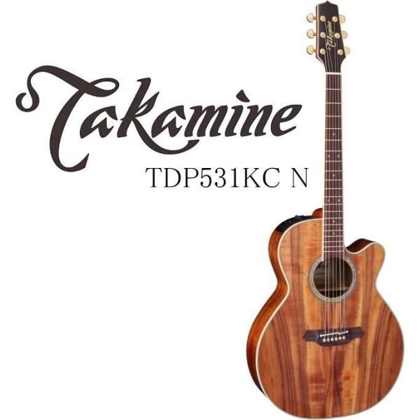 Takamine TDP531KC N タカミネ エレアコ・ギター セミハードケース付属