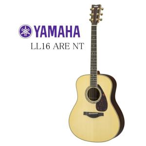 YAMAHA LL16 ARE / NT ヤマハ アコースティックギター｜g-sakai