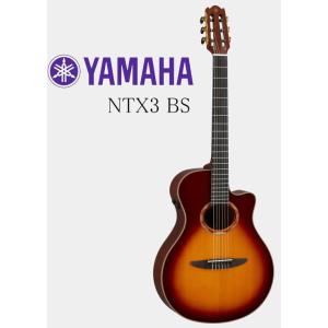 調整済 YAMAHA ヤマハ NCX3C エレガット オール単板 : タケヤ楽器 調整