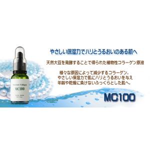 エビス化粧品・原液3点セット・粗品付き・EX1...の詳細画像2
