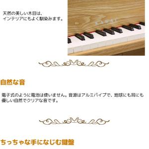 【ラッピング対応】【特典付き】カワイ アップラ...の詳細画像2