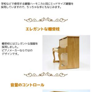 【ラッピング対応】【特典付き】カワイ アップラ...の詳細画像3