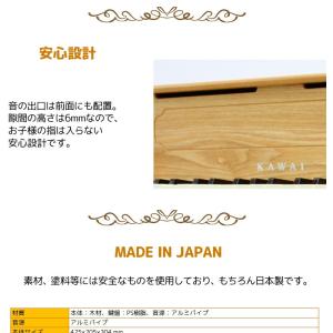 【ラッピング対応】【特典付き】カワイ アップラ...の詳細画像5