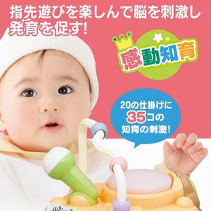 たのしく知育!やみつきボックス+(プラス) N...の詳細画像1