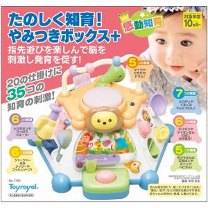 たのしく知育!やみつきボックス+(プラス) N...の詳細画像5