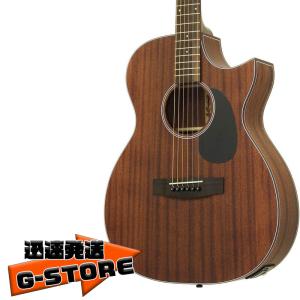 ARIA Aria-101CE/MTBK (Black) マット塗装 エレアコ / ソフトケース付