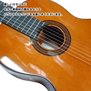 【25日までポイントUP】ARIA コンサート...の詳細画像3