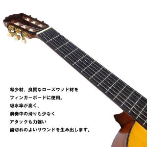 【25日までポイントUP】ARIA コンサート...の詳細画像4