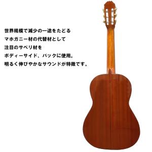 ARIA コンサートギター ACE-5S スプ...の詳細画像2