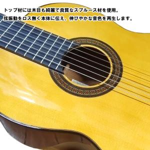 ARIA コンサートギター ACE-5S スプ...の詳細画像3