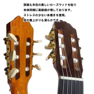 ARIA コンサートギター ACE-5S スプ...の詳細画像5