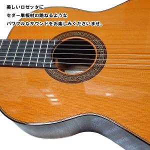 ARIA コンサートギター ACE-7C セダ...の詳細画像3