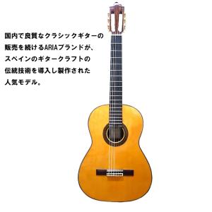 ARIA コンサートギター ACE-8S スプ...の詳細画像1