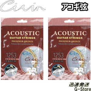 【在庫あり 23時間以内発送】Civin アコギ弦 CA60-M×2セット Medium 12-53