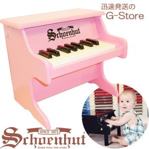 シェーンハット 37鍵盤 ミニグランドピアノ 椅子付 マホガニー