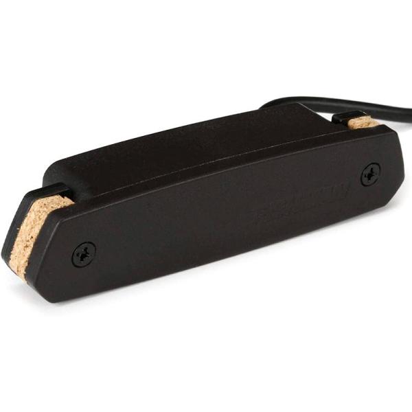 FISHMAN ピックアップ NEO-D ハムバッカー Soundhole Pickups Neo-...