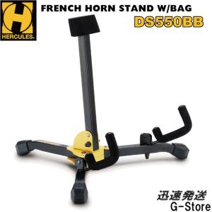 マンドリン ARIA アリア AM-20E 初心者 11点セット ピックアップ搭載