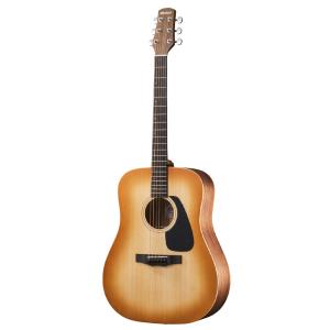 Morris モーリス アコースティックギター MORRIS M-011 LH HS
