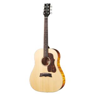 Morris M-025 BLK スプルース単板トップ モーリス ドレッド