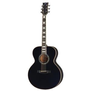 ジェームス（James） J-500S VNT アコースティックギター 教本付き