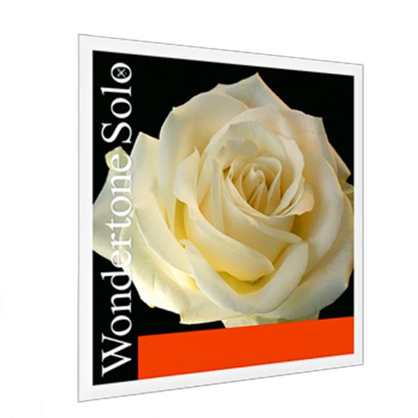 PIRASTRO ワンダートーンソロ バイオリン弦 E線 4/4 LOOP SILVERY STEE...