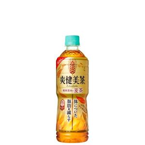 コカ・コーラ 爽健美茶 健康素材の麦茶 600mlPET 24本入×2ケース｜g-system