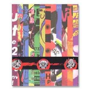 Apenのグラフィックデザイン集の買取情報