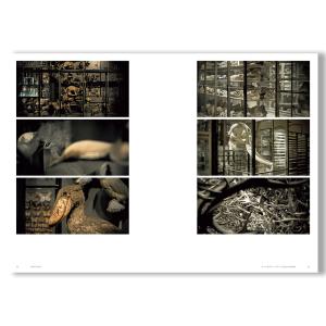 坂本龍一 | 音を視る 時を聴くの詳細画像3