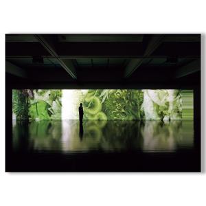 坂本龍一 | 音を視る 時を聴くの詳細画像4