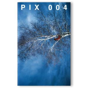 PIX 004 : RYAN MCGINLEY　ライアン・マッギンレー｜g-tsutayabooks