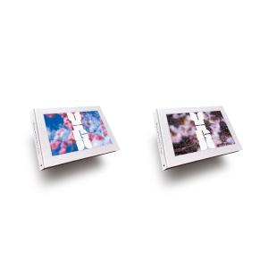 【表紙の選択可】VIRA by 蜷川実花（Mika Ninagawa） 写真集