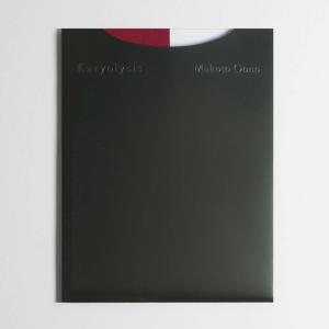 公式大型フォトブック】The Official Michael Jackson Opus／ザ