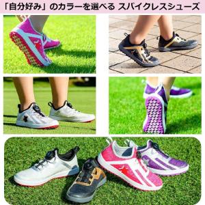 (期間限定)(送料無料) リンクス SK-54...の詳細画像2