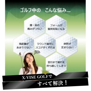 (期間限定)(送料無料) クロスバイス ゴルフ...の詳細画像3