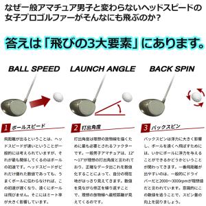 (期間限定) ジートラック モバイル GPRO...の詳細画像2
