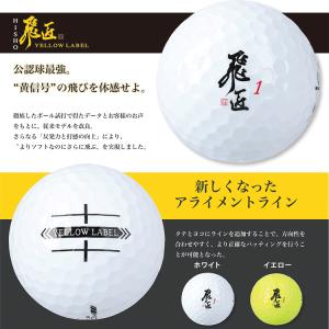【期間限定】【送料無料】 ワークス ゴルフ 飛...の詳細画像2