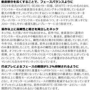 (期間限定) 数量限定品 オデッセイ Ai-O...の詳細画像3