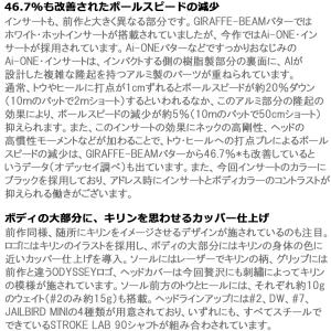 (期間限定) 数量限定品 オデッセイ Ai-O...の詳細画像4
