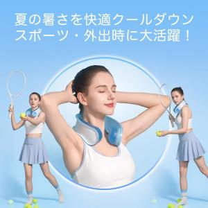 TOBIEMON 飛衛門 とびえもん ゴルフ ...の詳細画像1