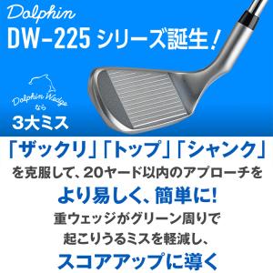 (期間限定) キャスコ ドルフィン ウェッジ ...の詳細画像2
