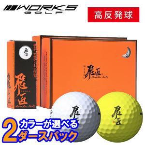 【カラーが選べる2ダースセット】 ワークス ゴル...の商品画像