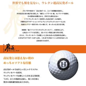 【カラーが選べる2ダースセット】 ワークス ゴ...の詳細画像2