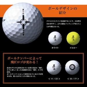 【カラーが選べる2ダースセット】 ワークス ゴ...の詳細画像5