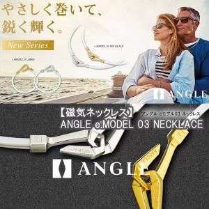 (期間限定)(医療機器) アングル e.モデル...の詳細画像1
