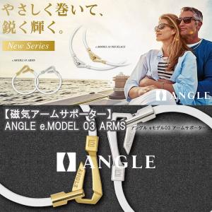 (期間限定)(医療機器) アングル e.モデル...の詳細画像1